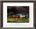 Painting of Arabians in the Pasture