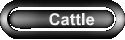 Cattle