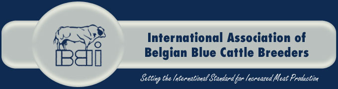 BBI - Belgian Blue International logo