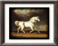 Painting of a grey Arabian Horse